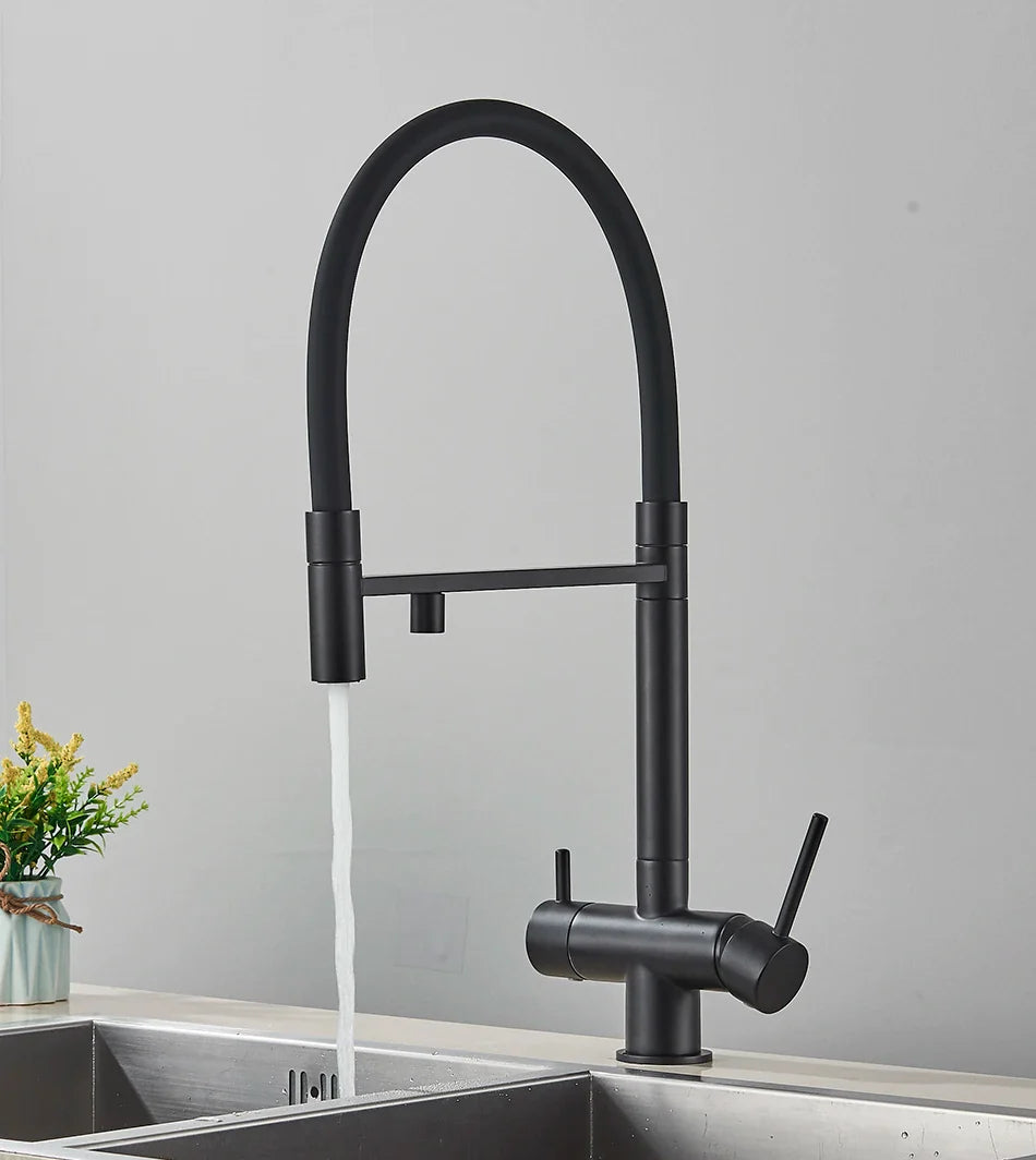 Black matte finish kitchen water filter faucet with dual spout and dual handles single hole installation for pure drinking water