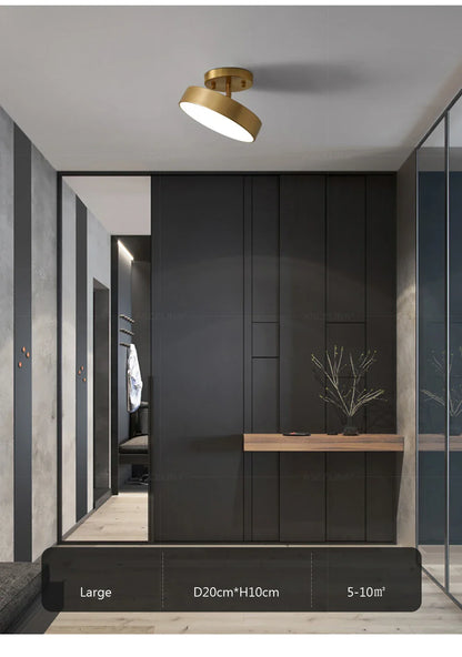 LED Ceiling Light for Bedroom and Living Room