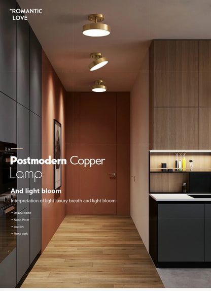 LED Ceiling Light for Bedroom and Living Room