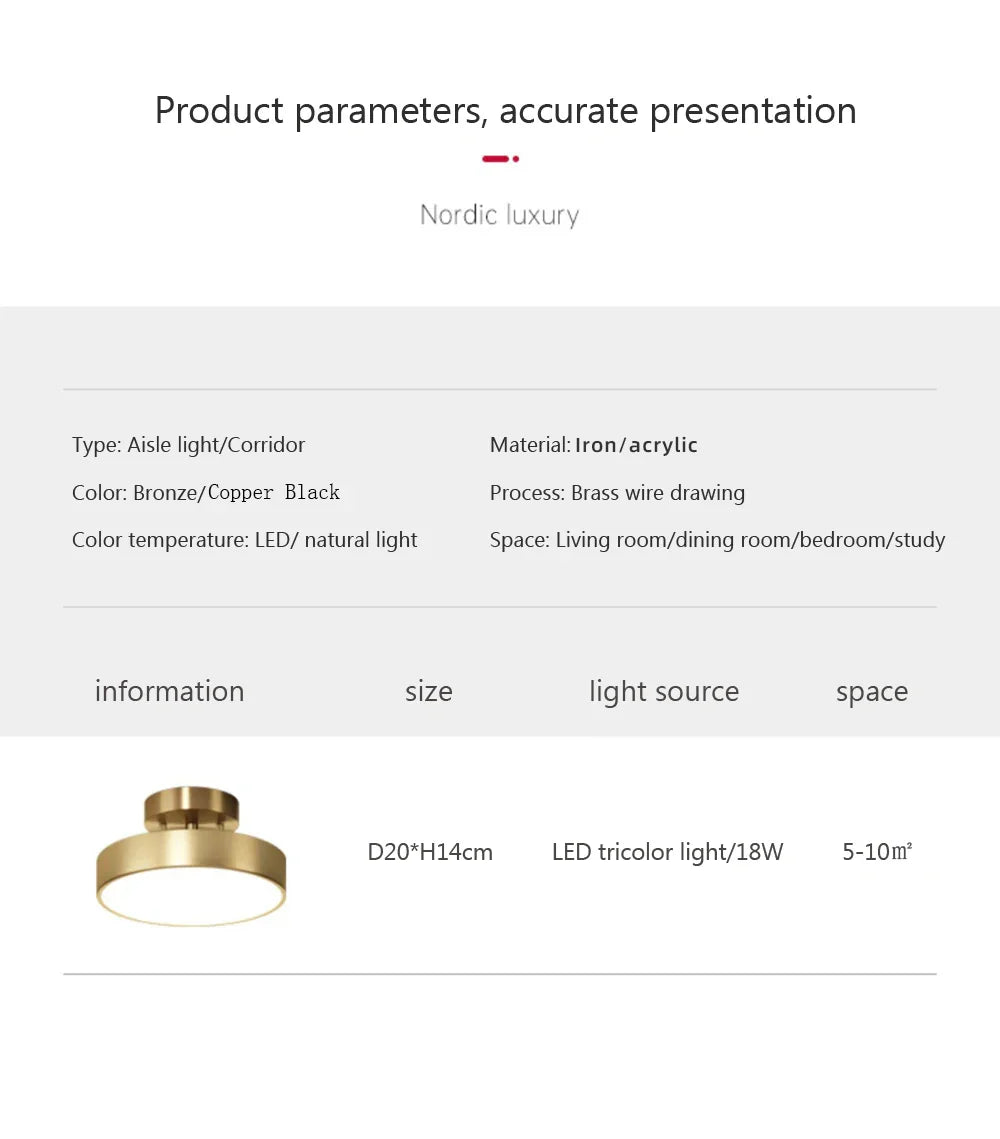 LED Ceiling Light for Bedroom and Living Room