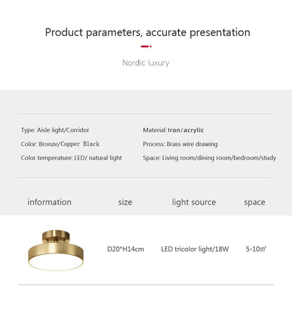 LED Ceiling Light for Bedroom and Living Room