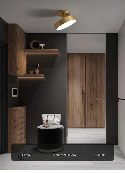 LED Ceiling Light for Bedroom and Living Room