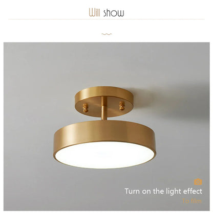 LED Ceiling Light for Bedroom and Living Room