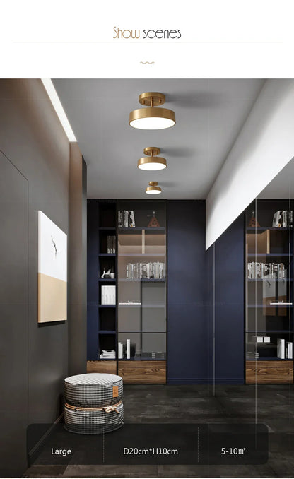 LED Ceiling Light for Bedroom and Living Room