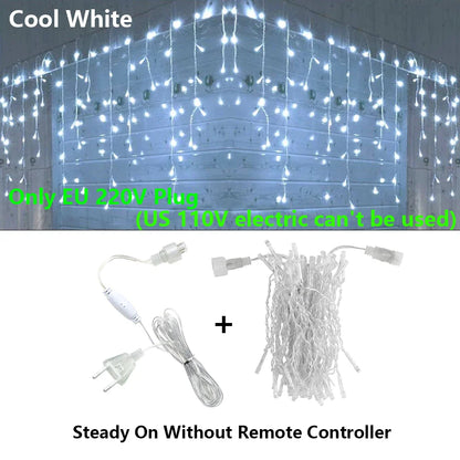 LED Icicle String Lights - Outdoor Holiday Decor - Steady on no remote 1 / 25M