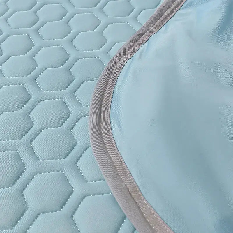 Light blue ice silk quilt set pet pad with hexagonal quilting and gray stitched border for decorbites cool feeling