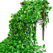 Lush green silk creeper plant cascading over a rustic wooden chair by decorbites for living room decor