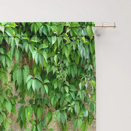 Lush ivy green leaf plant printed curtains featuring sheer panels hanging on a silver rod for living room use
