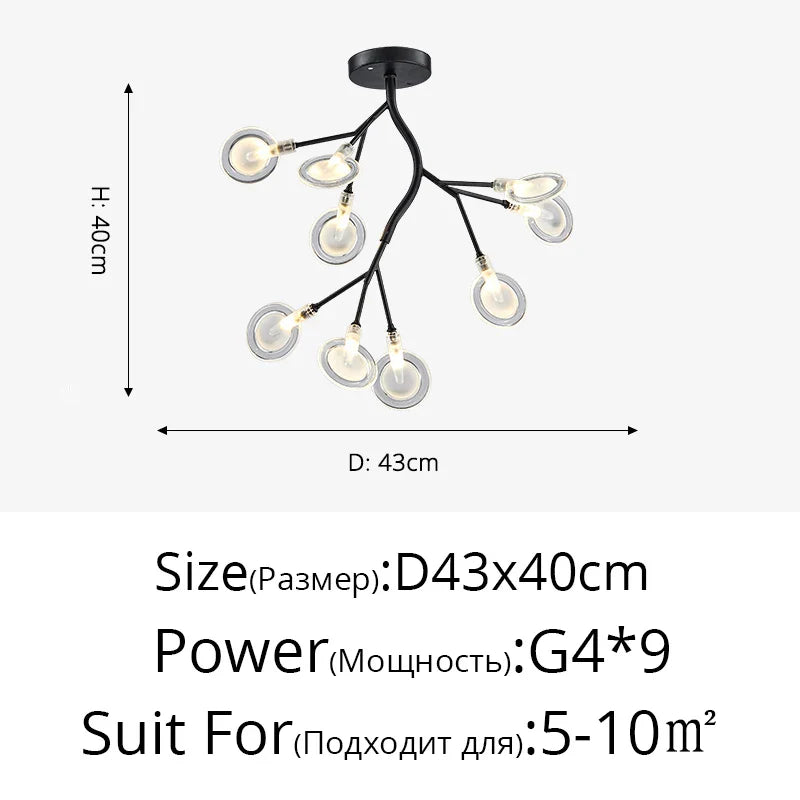 Luxurious Golden LED Chandelier for Home - Black B 9 Heads / Warm White no remote / CHINA - Chandelier