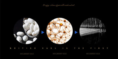 Luxurious Mulberry Silk Bedding Set for King or Queen Size