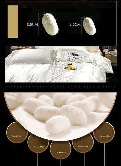 Luxurious Mulberry Silk Bedding Set with Queen & King Sizes
