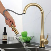 Luxury brushed gold pull kitchen faucet with flexible pull out spray head and textured decorbites brushed gold finish