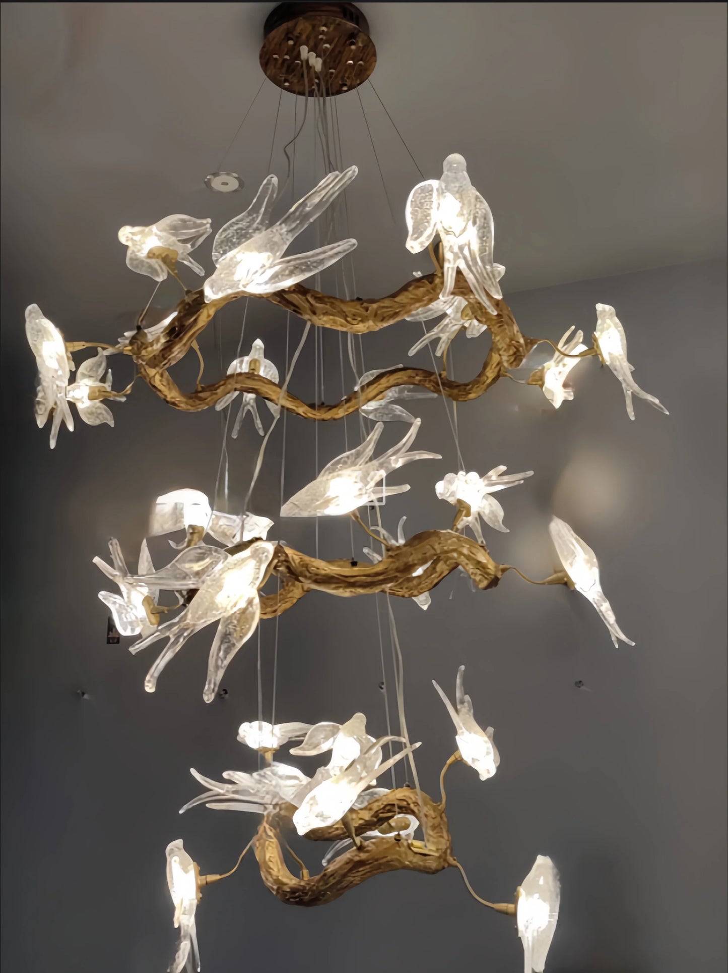 Luxury Vintage Glass Bird Chandelier - 60x80x100cm / changeable - Chandelier