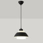 Macaron Single-Bulb Aluminum Ceiling Pendant Light with Acrylic Shade