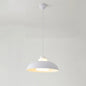 Macaron Single-Bulb Aluminum Ceiling Pendant Light with Acrylic Shade