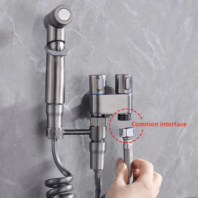 Silver stainless steel dual-function decorbites bidet spray set with coiled hose for bathroom use