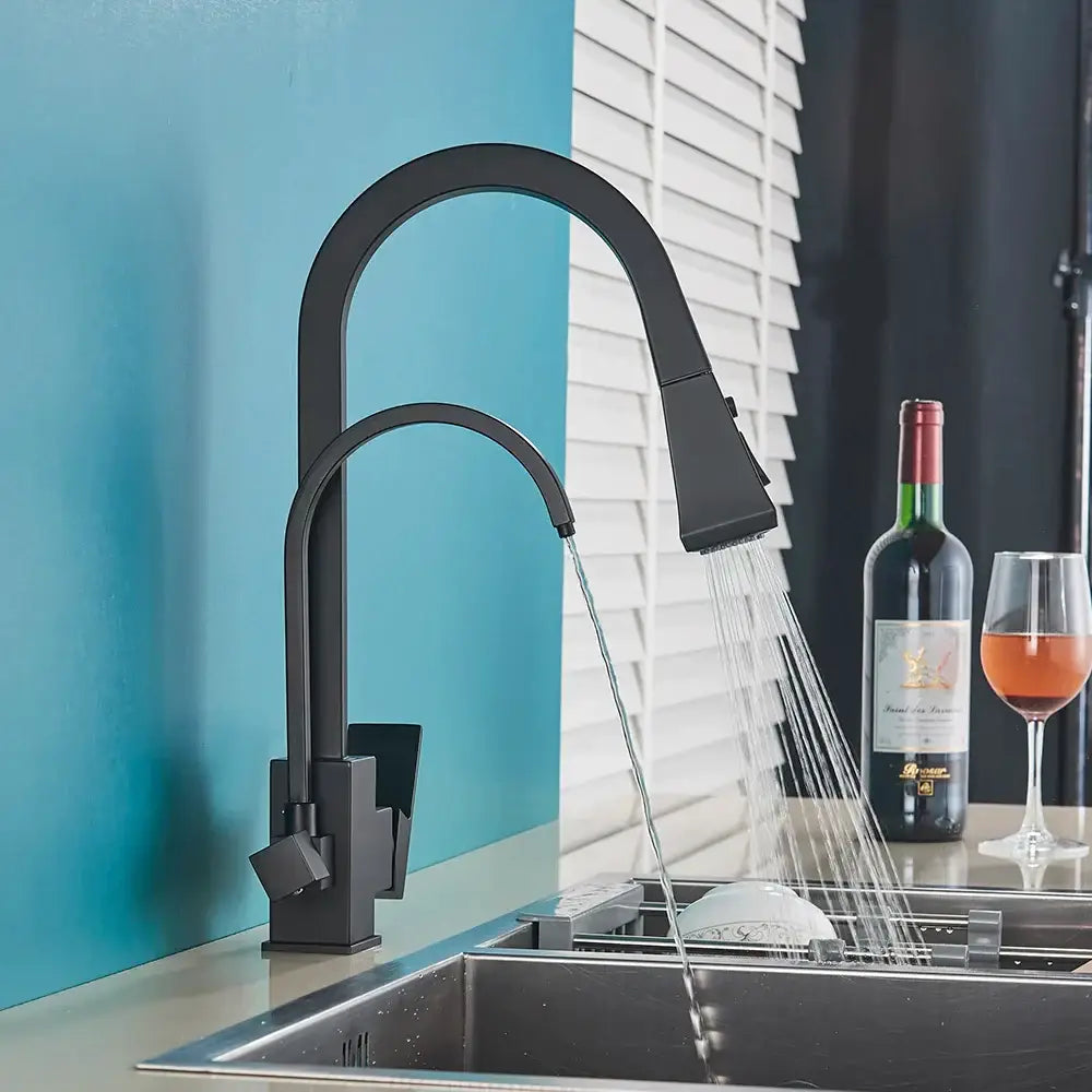 Matte black dual handle kitchen faucet with curved spout and pull down spray head by decorbites dual handle