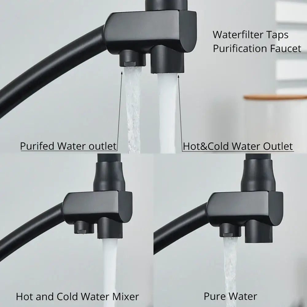 Matte black dual spout kitchen faucet with water purification in black matte finish for decorbites dual spout kitchen use
