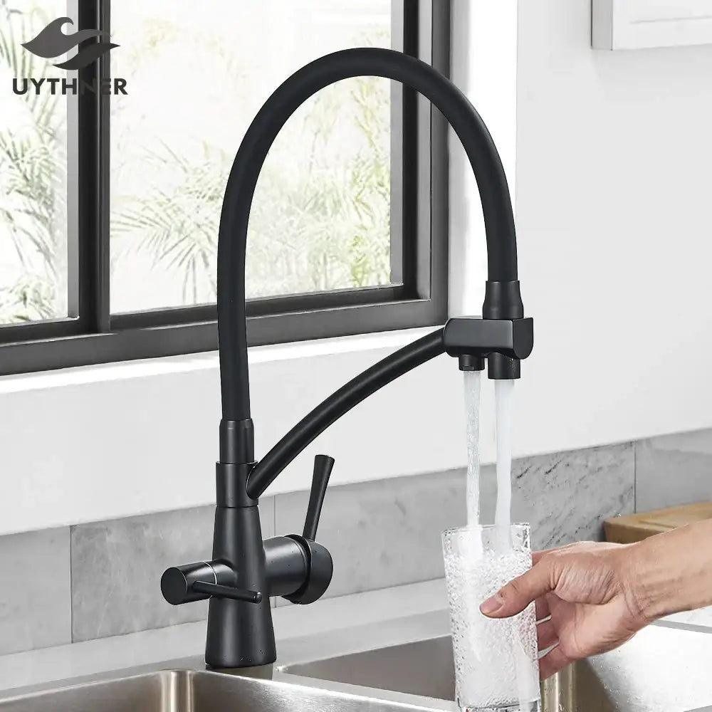 Matte black decorbites dual spout kitchen faucet with dual handles and water purification for modern kitchens