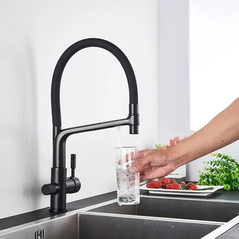 Matte black dual spout kitchen water filter faucet with curved spout and 360 rotation pull-down hose