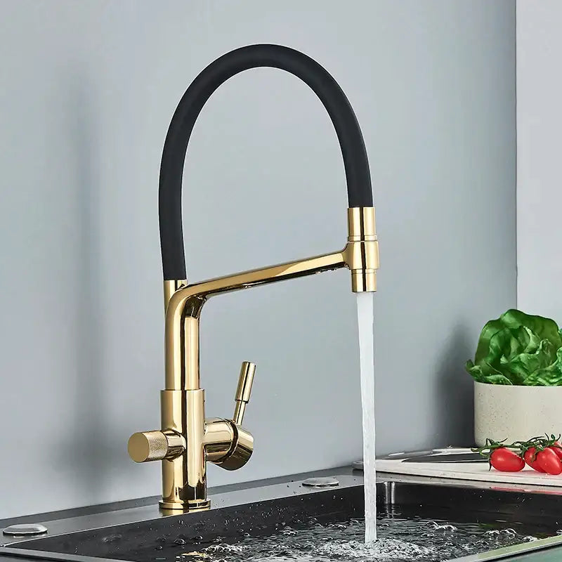 Gold-finished dual spout kitchen water filter faucet with flexible black hose and sleek modern design for 360 rotation