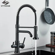Matte black dual spout kitchen water filter faucet with a coiled gooseneck spout and dual handles in matte finish