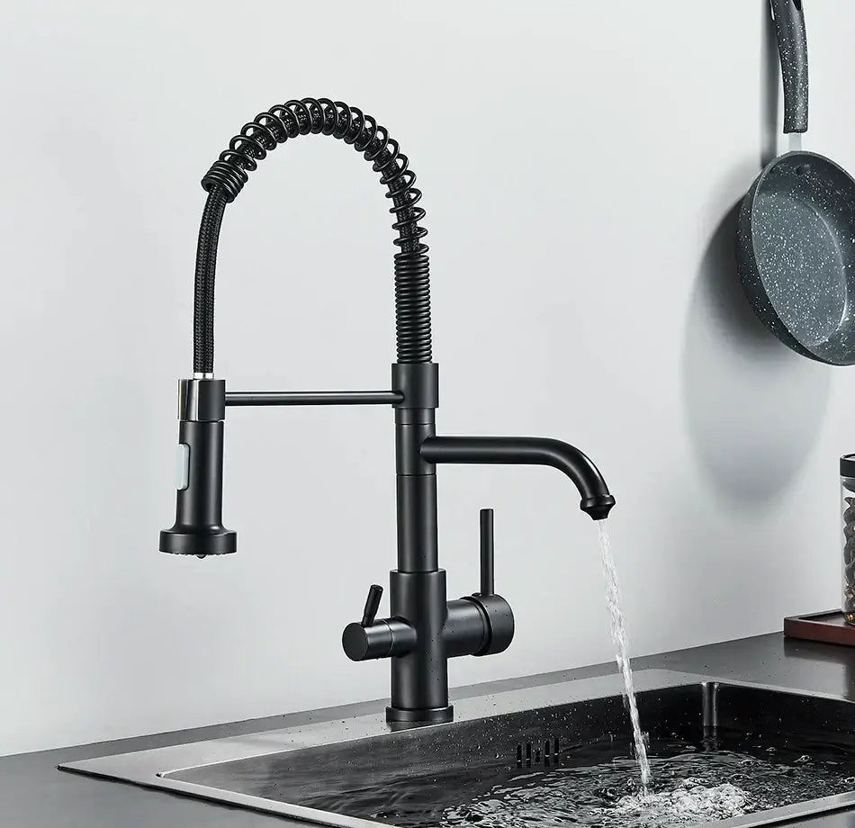Matte black dual spout kitchen water filter faucet with flexible coiled hose and pull-down spray head