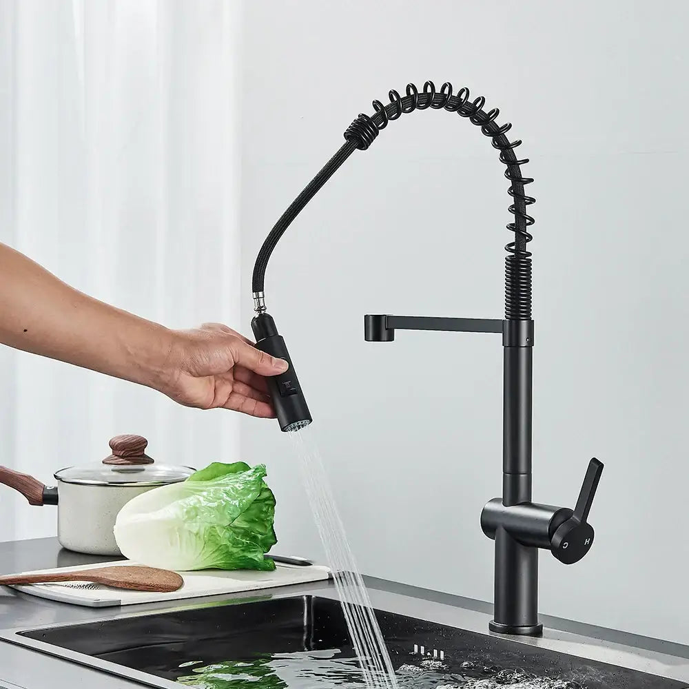 Matte black kitchen sink faucet with pull down spring sprayer and coiled hose for versatile sink faucet use