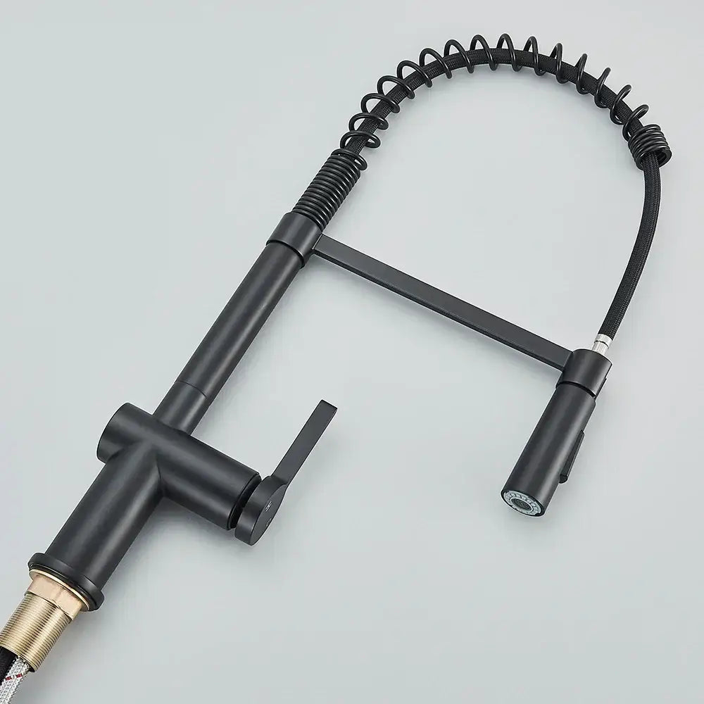 Matte black kitchen sink faucet with pull down spring sprayer featuring a coiled hose and gold-toned threaded base