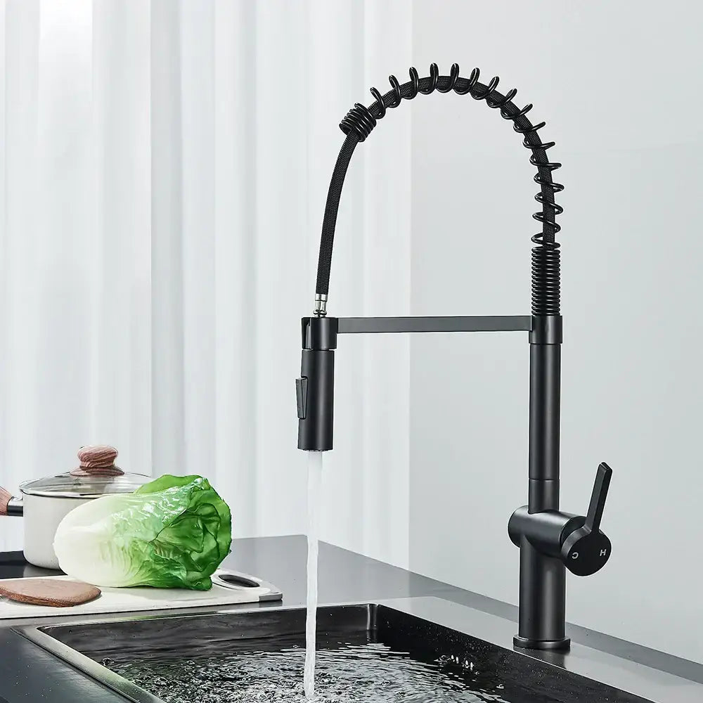 Matte black kitchen sink faucet with pull down spring sprayer and flexible coiled spout for modern kitchen sink use
