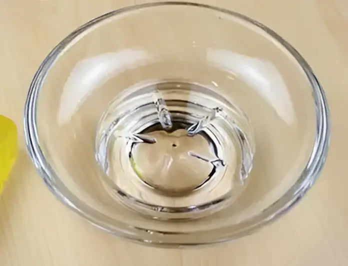 Matte clear glass soap dish with lid featuring a smooth rounded rim and subtle reflections for bathroom accessory use
