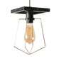 Metal Caged Pendant Lighting - Farmhouse Style - 1 Light - Black