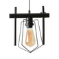 Metal Caged Pendant Lighting - Farmhouse Style - 1 Light - Black