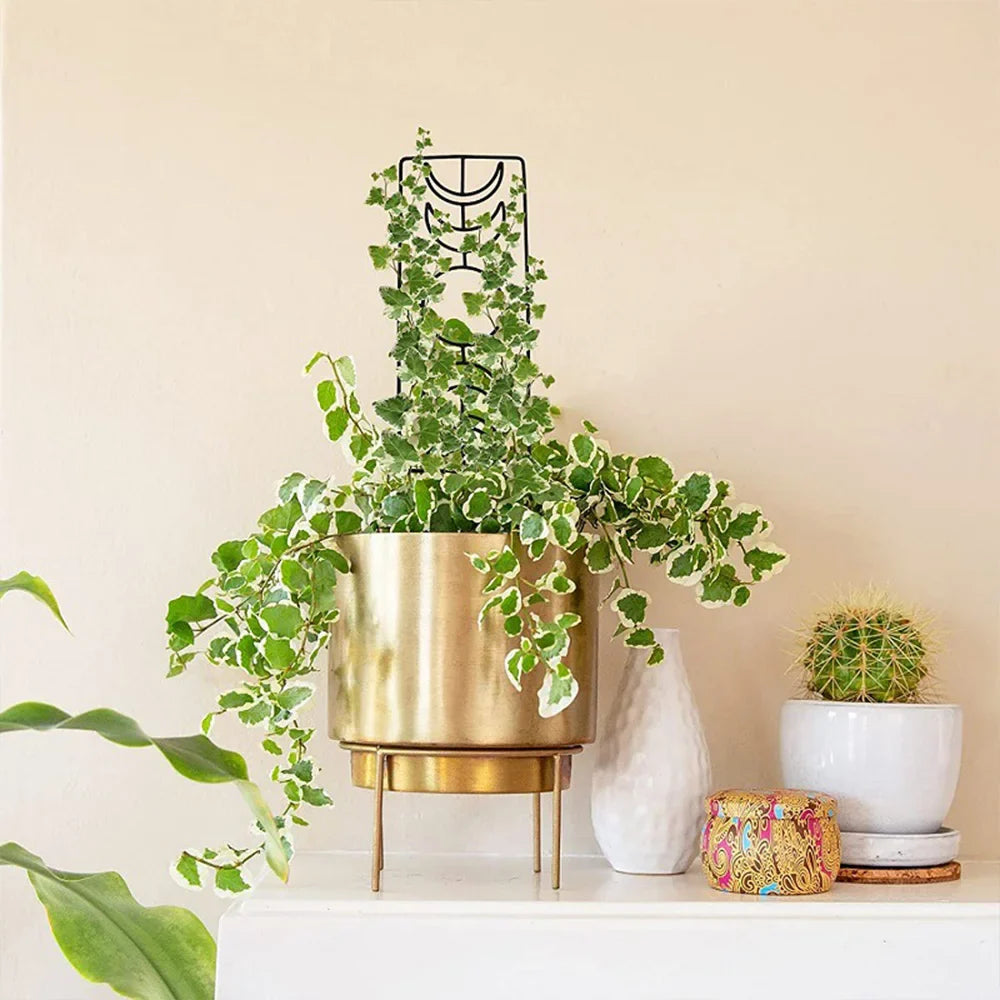 Metal Garden Plant Stand for Indoor and Outdoor Growth