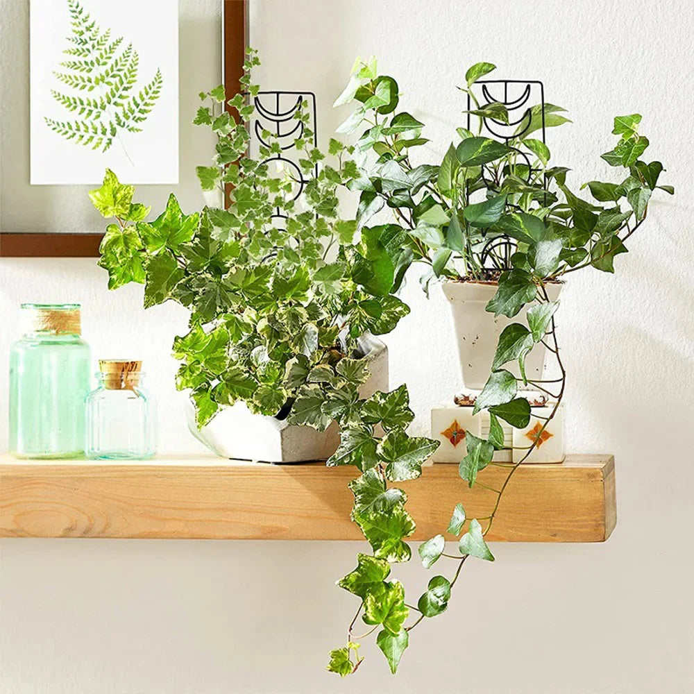 Metal Garden Plant Stand for Indoor and Outdoor Growth