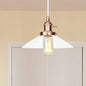 Metallic and Clear Glass Farmhouse Cone Pendant Lamp - Adjustable Height Ceiling Light