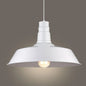 Metallic Hanging Light with 1 Bulb for Restaurant Pendant Fixture