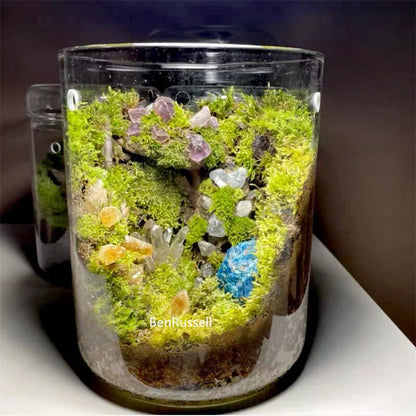 Mini Glass Bottle Terrarium Kit - Home Decor - Vase