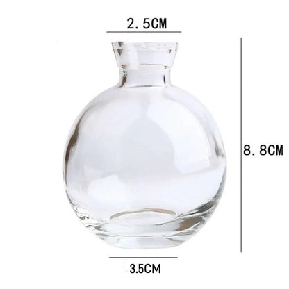 Mini Glass Flower Vase for Home Decor - transparent-B - Vase