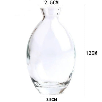 Mini Glass Flower Vase for Home Decor - transparent-C - Vase
