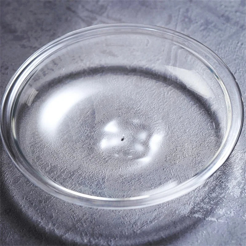 Mini Glass Terrarium for Succulents and Moss