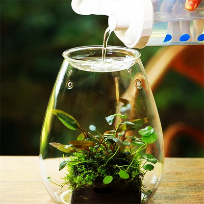 Mini Glass Terrarium for Succulents and Moss - 20x13.5cm - Vase