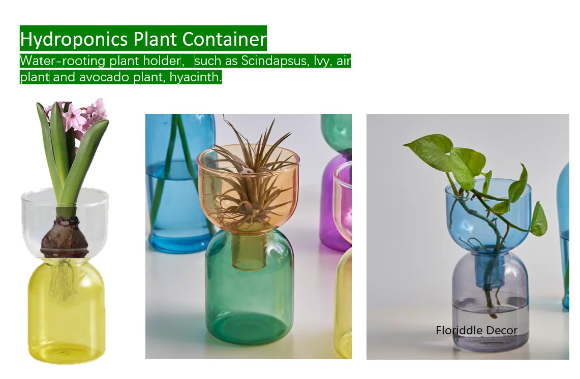 Mini Glass Vase Set for Plants and Candles - Vase