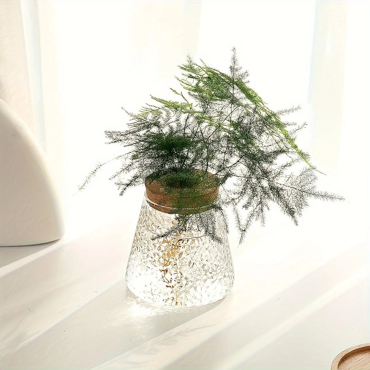 Mini Nordic Glass Hydroponic Planter Tray - Vase