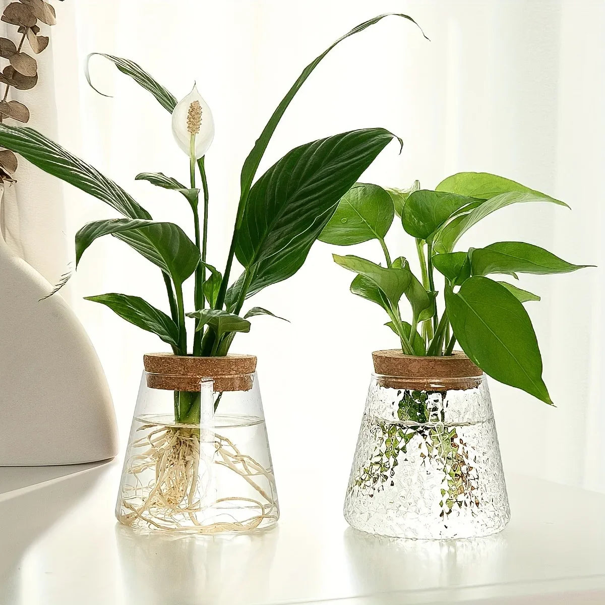 Mini Nordic Glass Hydroponic Planter Tray - Vase