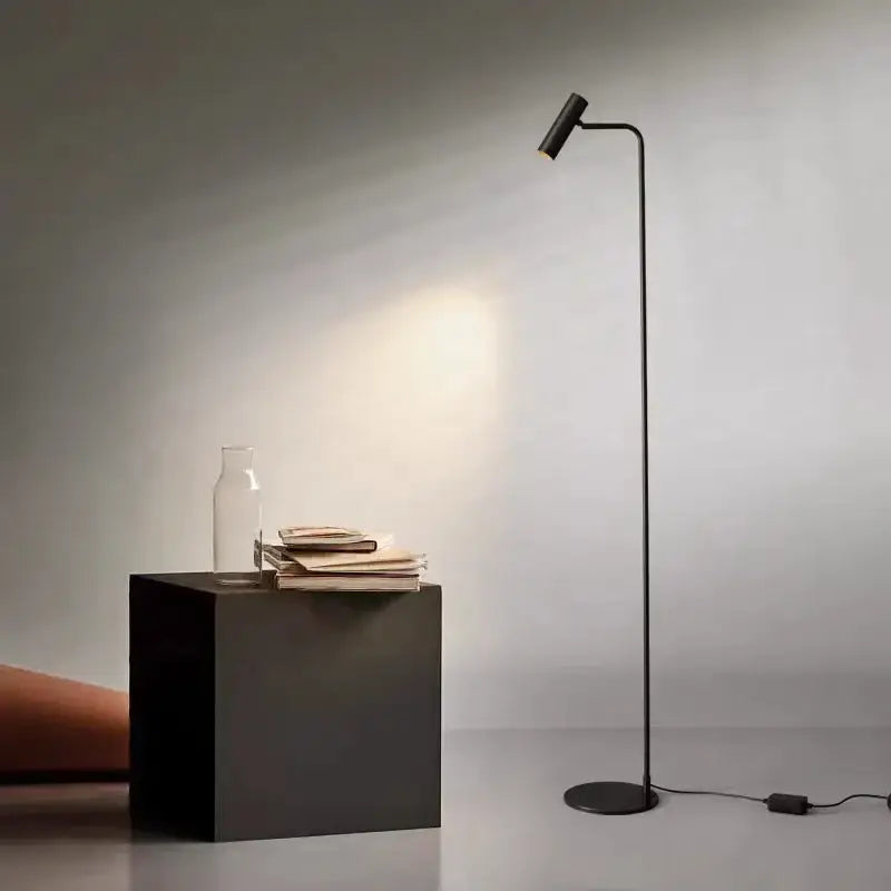 Minimalist black decorbites brass floor light with slender curved neck and adjustable head for bedroom use
