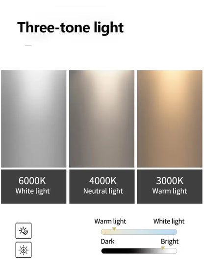 Minimalist black and white floral ring ceiling lamp with three-tone led light strips for decorbites living room ambiance