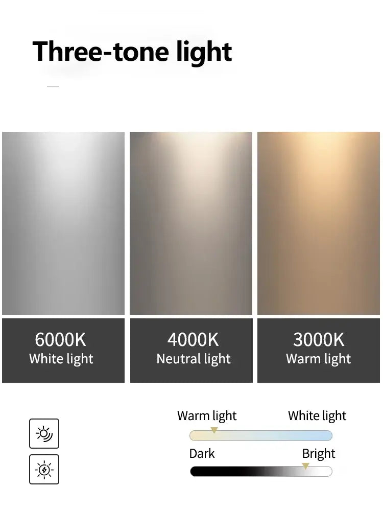 Minimalist black and white floral ring ceiling lamp with three-tone led light strips for decorbites living room ambiance