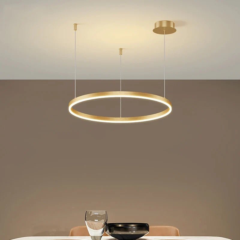 Minimalist Brushed Ring Pendant Light in Gold and Black - Decorbites