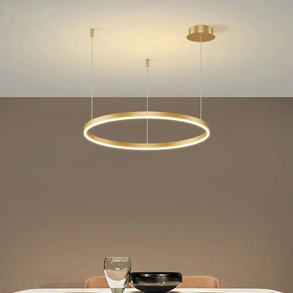Minimalist Brushed Ring Pendant Light in Gold and Black - Decorbites